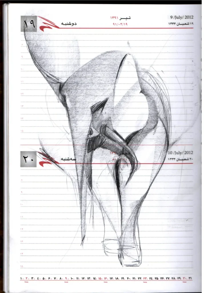 Animal Drawing