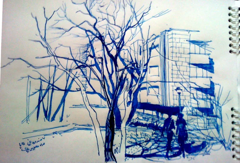 sketches